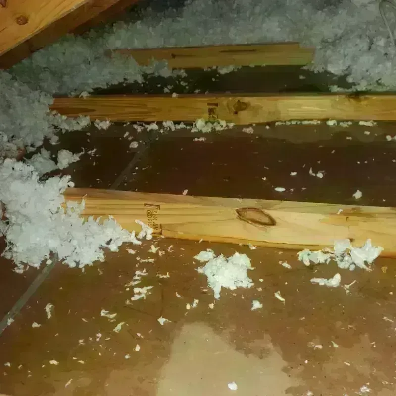 Attic Water Damage in Belleville, IL