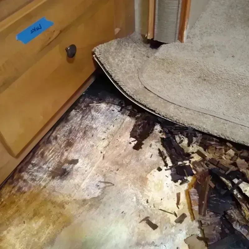 Wood Floor Water Damage in Belleville, IL